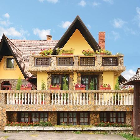 Pension Casa Aurora Vama  Exterior foto