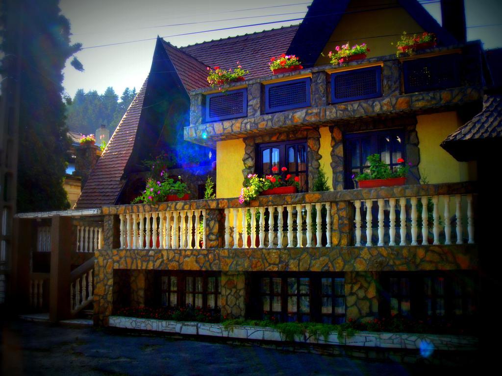 Pension Casa Aurora Vama  Exterior foto